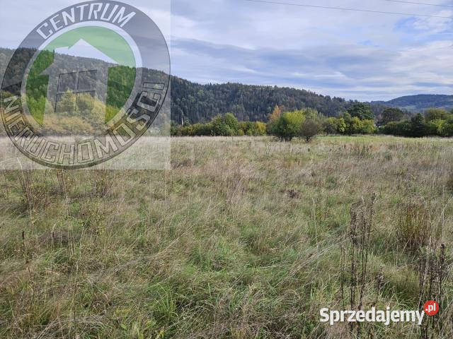Ogłoszenie działka 1000m2 Kamienica