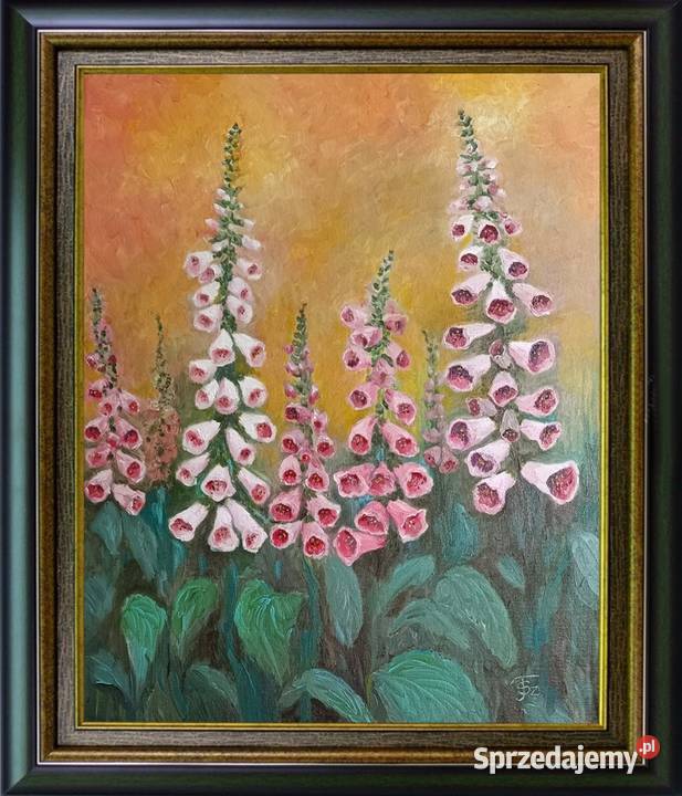 Obraz olejny Naparstnice Lublin