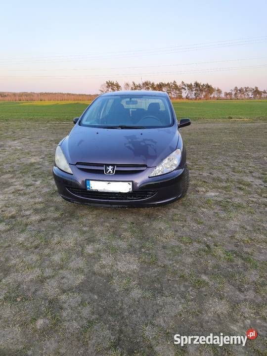 Peugeot 307 2003 16 benzyna 307 Annapol
