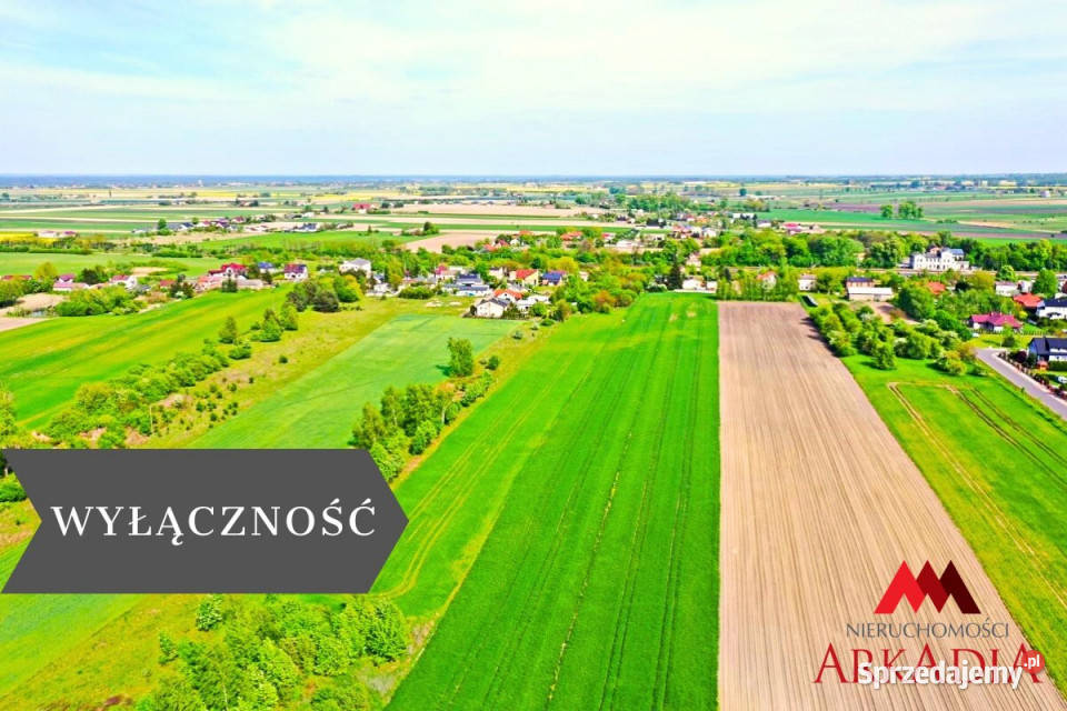 Działkę sprzedam 10438 metrów Czerniewice Sprzedaż