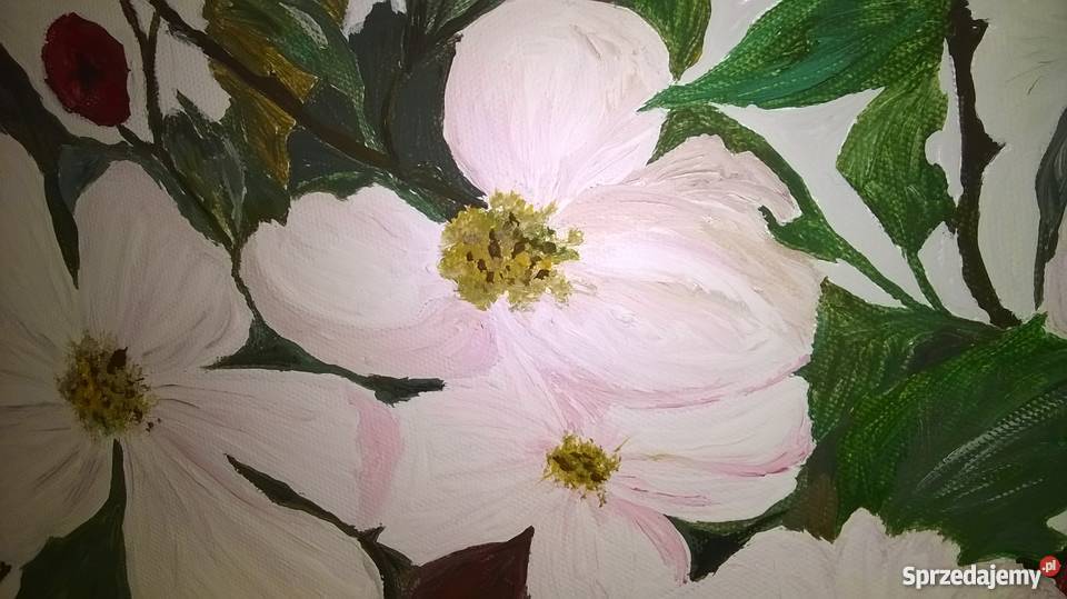 Obraz akryl Gałąź Dzikiej Róży Oleśnica