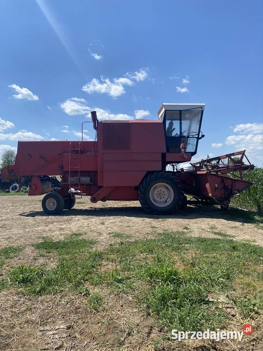 Bizon Opatów sprzedam