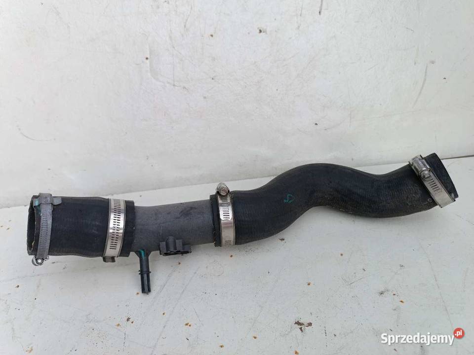 WŁĄCZ RURA INTERCOOLERA FORD ECOSPORT 10 sprzedam
