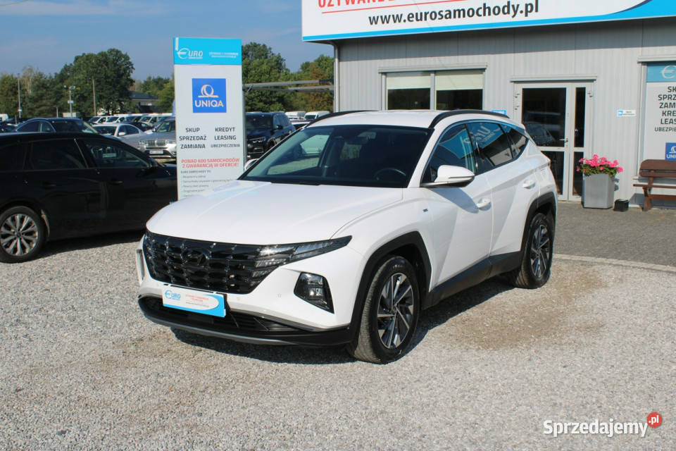 Hyundai Tucson 16 TGDi 2WD 48V 150 Executive Motoryzacja mazowieckie Warszawa