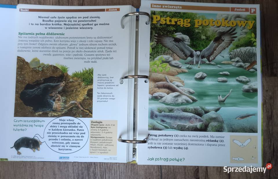 Leśne przygody karty z albumu DeAgostini Poradniki, albumy i reportaże Zbylitowska Góra sprzedam