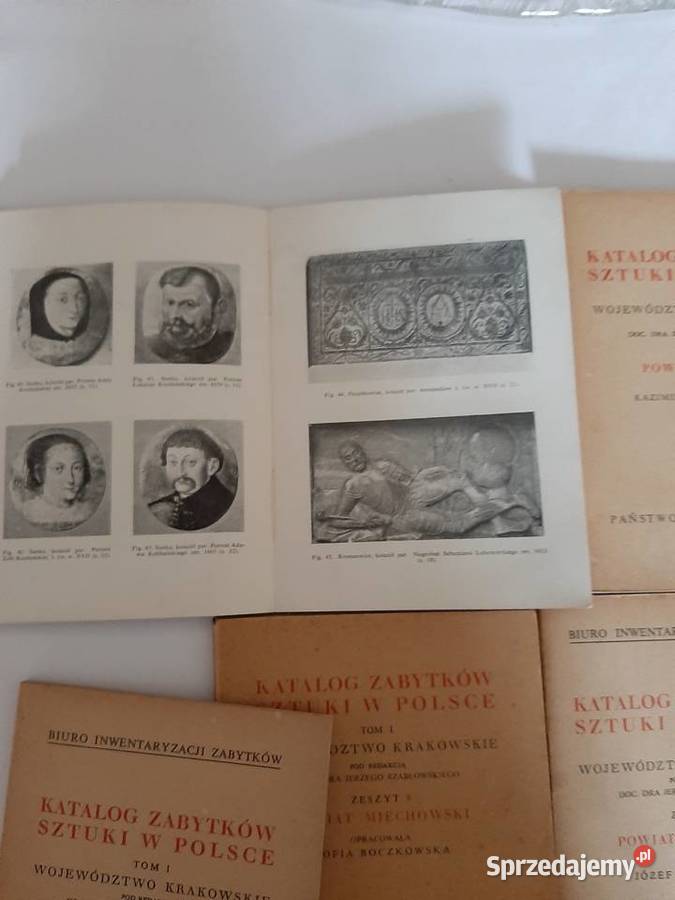 Katalogi zabytków sztuki w Polsce województwo Stronie Śląskie