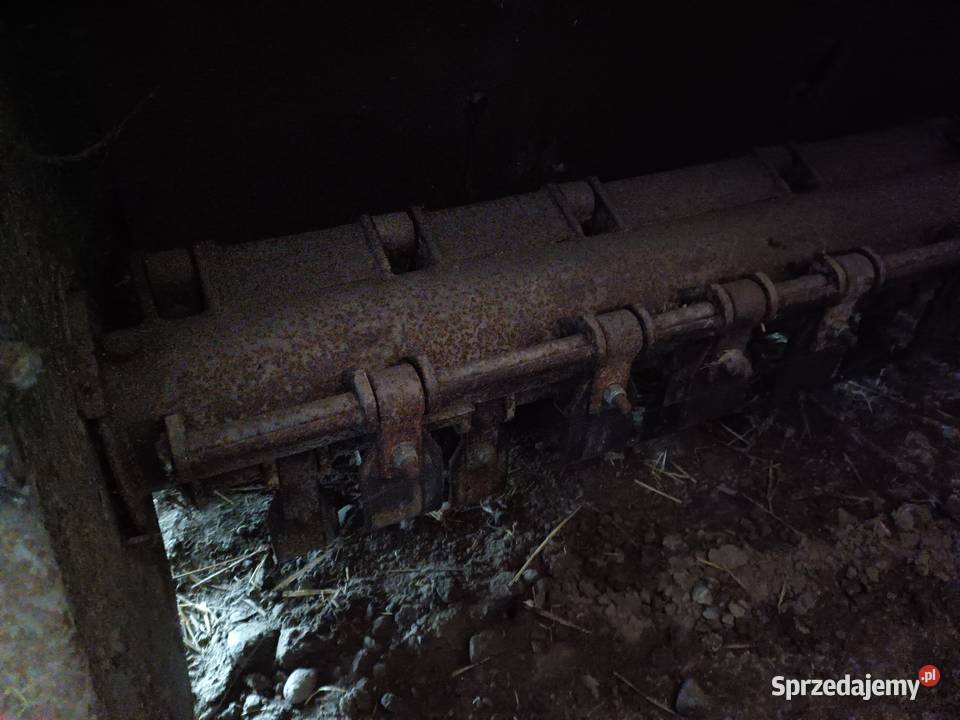 Leciniarka160 Tomaszew