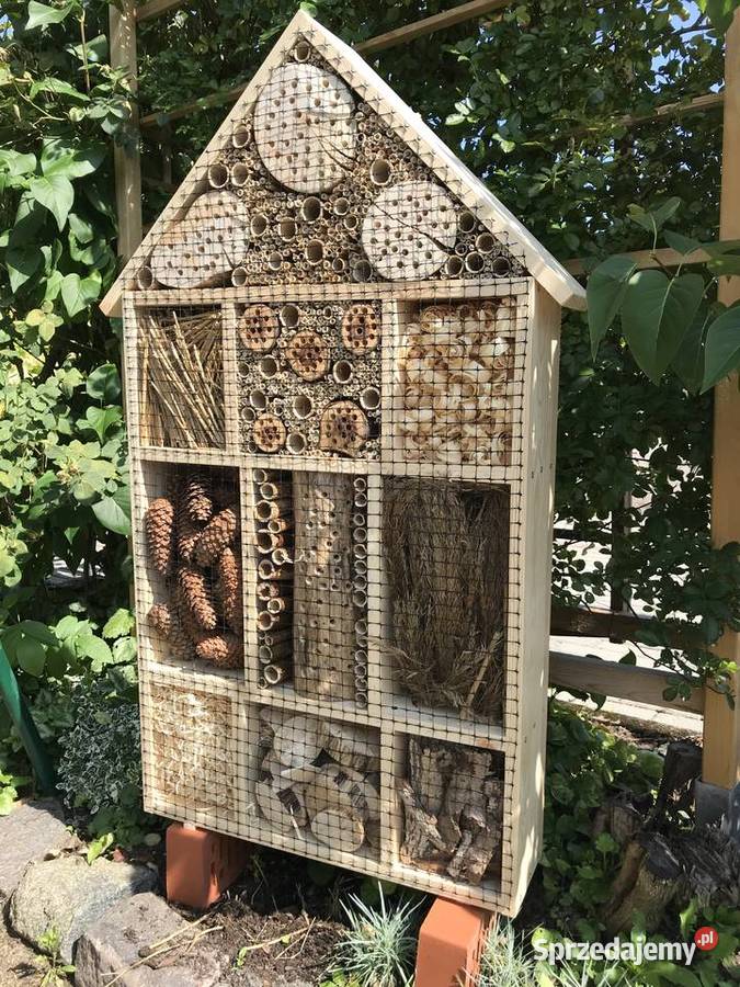 Domek owadów OGROMNY Sławno