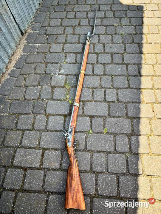 REPLIKA I CZARNOPROCHOWIEC świętokrzyskie