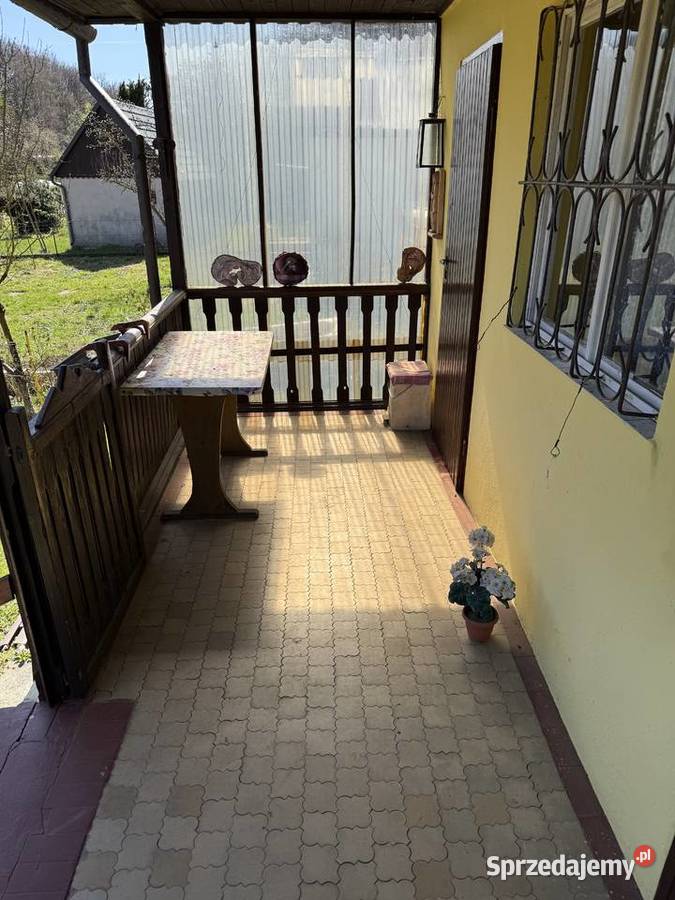 Piękna działka ROD w Bolesławcu Rodzinny Ogródek dolnośląskie Bolesławiec