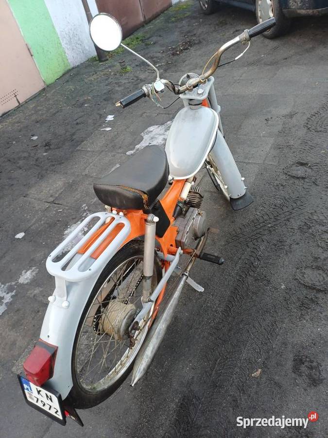 Komar zarejestrowany łańcuch Kożuchów