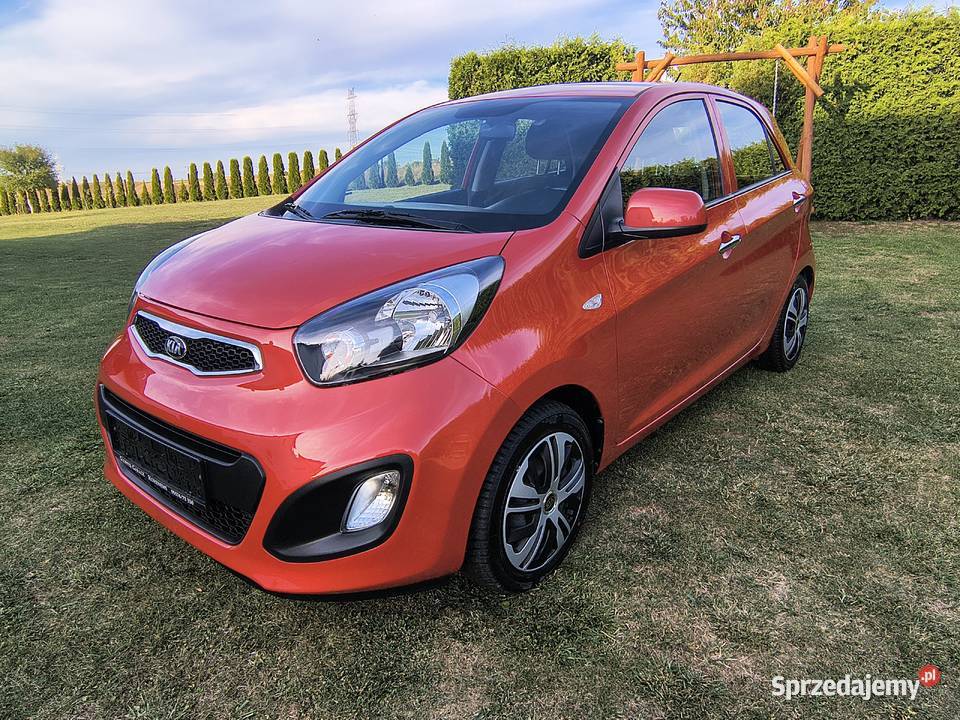 Kia Picanto Benzyna 10 Mega kolor zadbany wspomaganie kierownicy Samochody osobowe Iwonicz