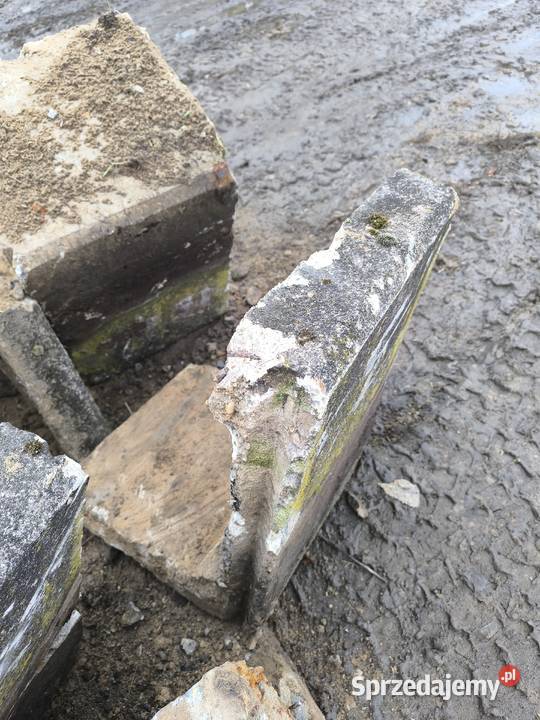 Elka fundament stopa murek betonowy betonowa podkarpackie Tarnobrzeg