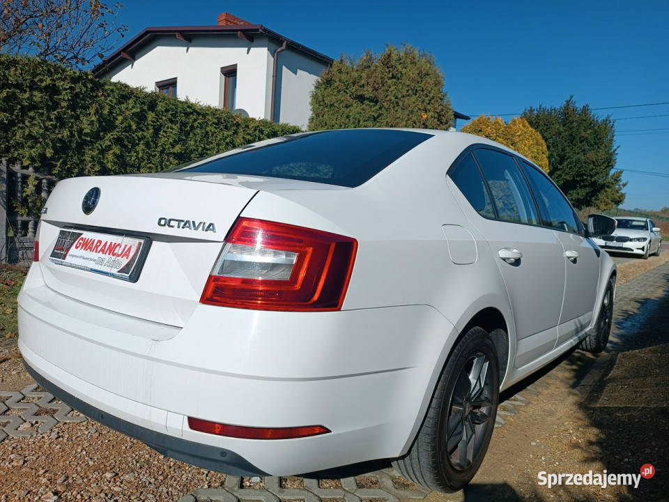 koda Octavia krajowa III 2013 Chełm Śląski