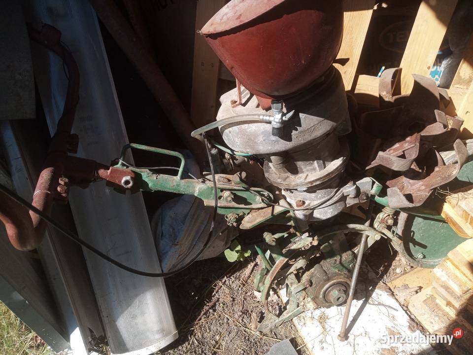 Glebogryzarka Mrówka podkarpackie Rzeszów