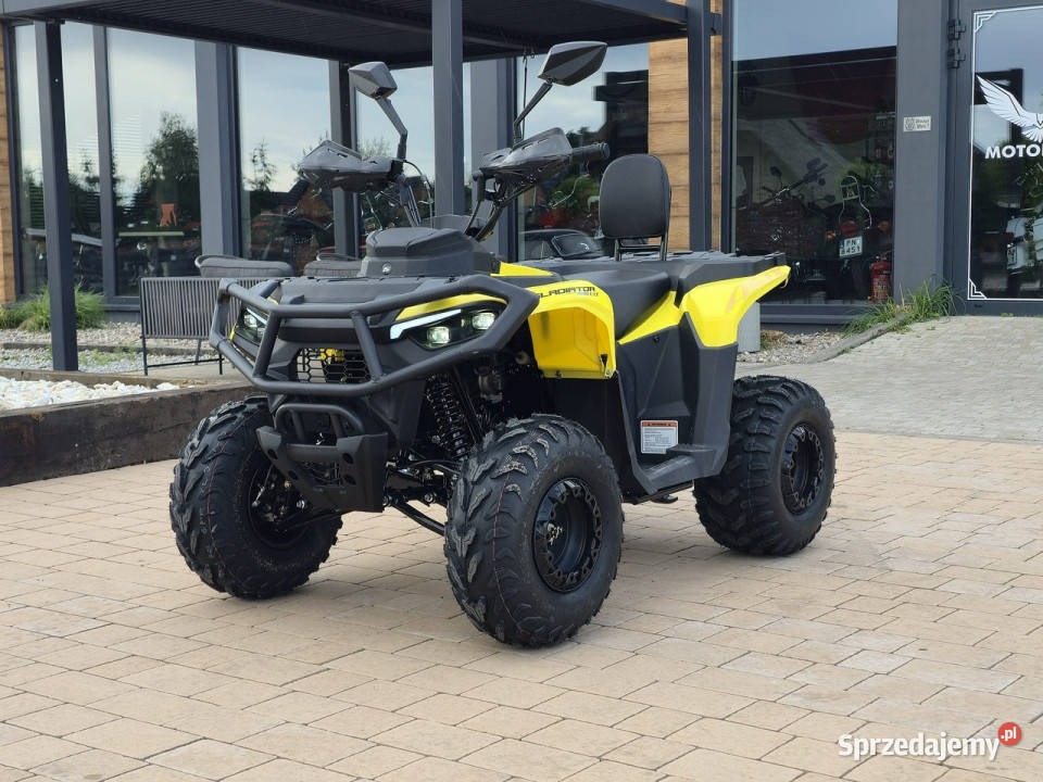 ASIX Inny Quad ASIX Gladiator 110 Transport Raty Bicz