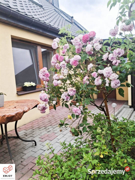 Ogłoszenie dom bliźniak 49m2 Izabelów do zamieszkania