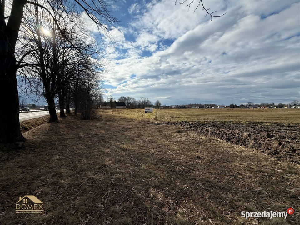 Działka 2598m2 Zbytków