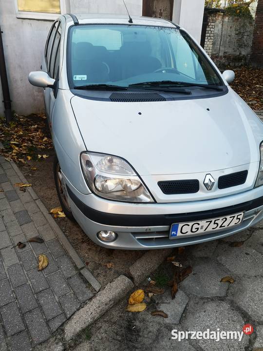 Renault scenik Rok produkcji 2001 Grudziądz