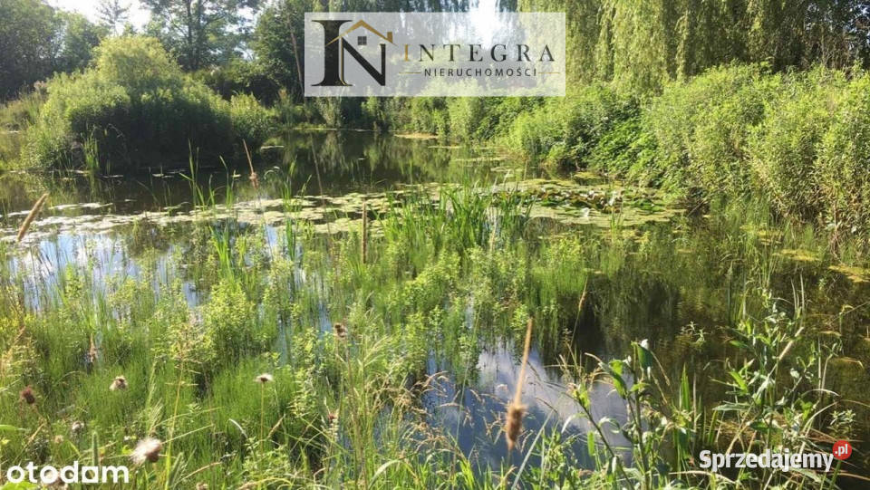 Działka budowlana 5086 ara Wisiona z wz 5086m2 podkarpackie Iwierzyce