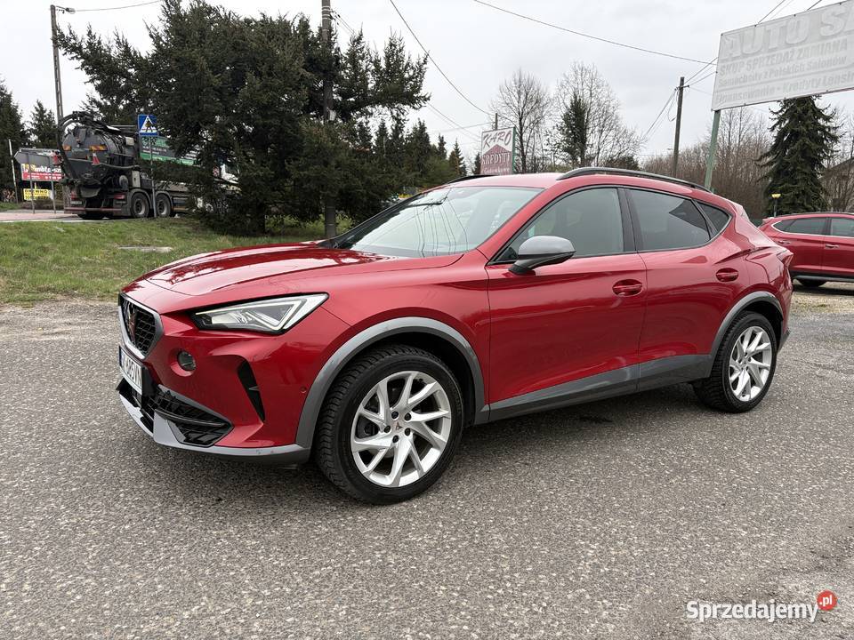 Salon BezwypKlima kameraI właścicelSkóra automatyczna