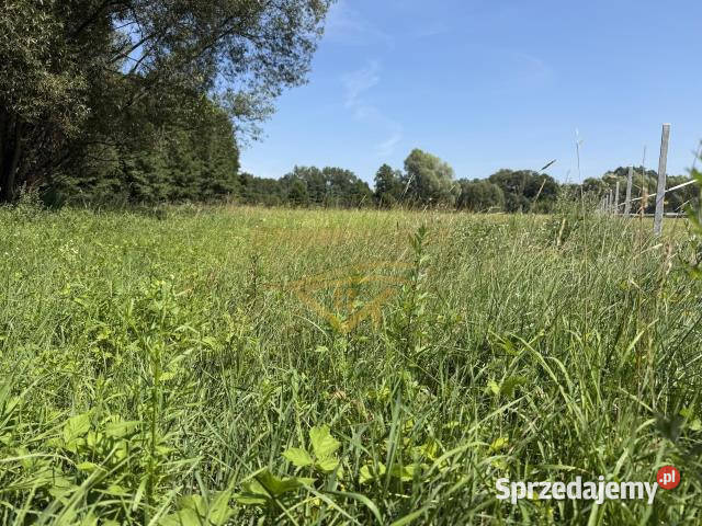 sprzedaży działki Budy Zosine 5700m2 rolna mazowieckie