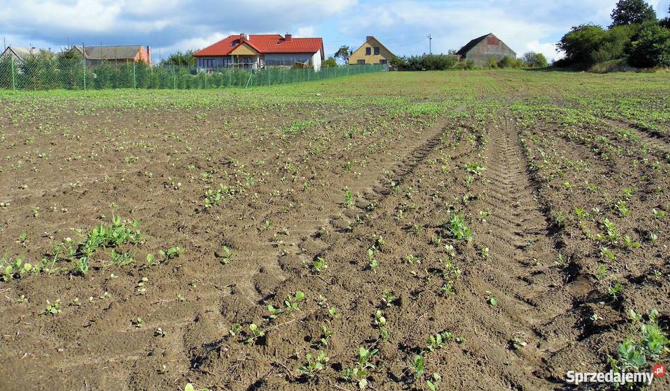 Sprzedam Działkę Krasnołęka sprzedam