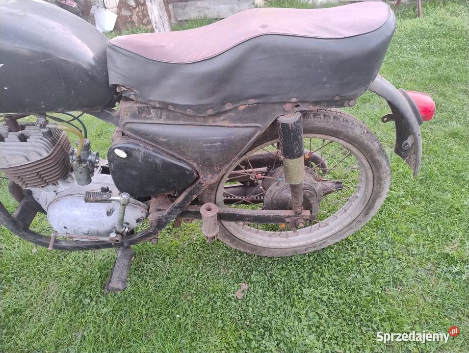 Wsk świętokrzyskie Przyłogi