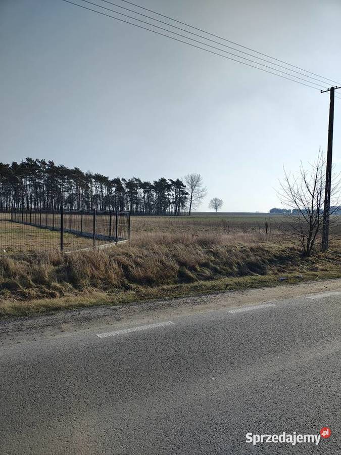 2 działki z możliwością zabudowy w mega Domaniew Sprzedaż