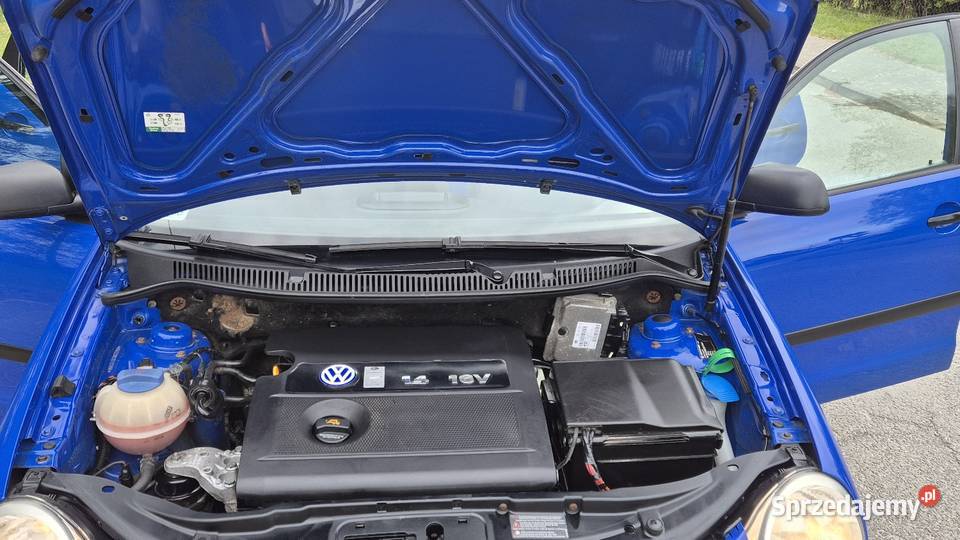 VW POLO 14B ZAREJESTROWANY KLIMA ELEKTRYKA 02R Volkswagen Końskie