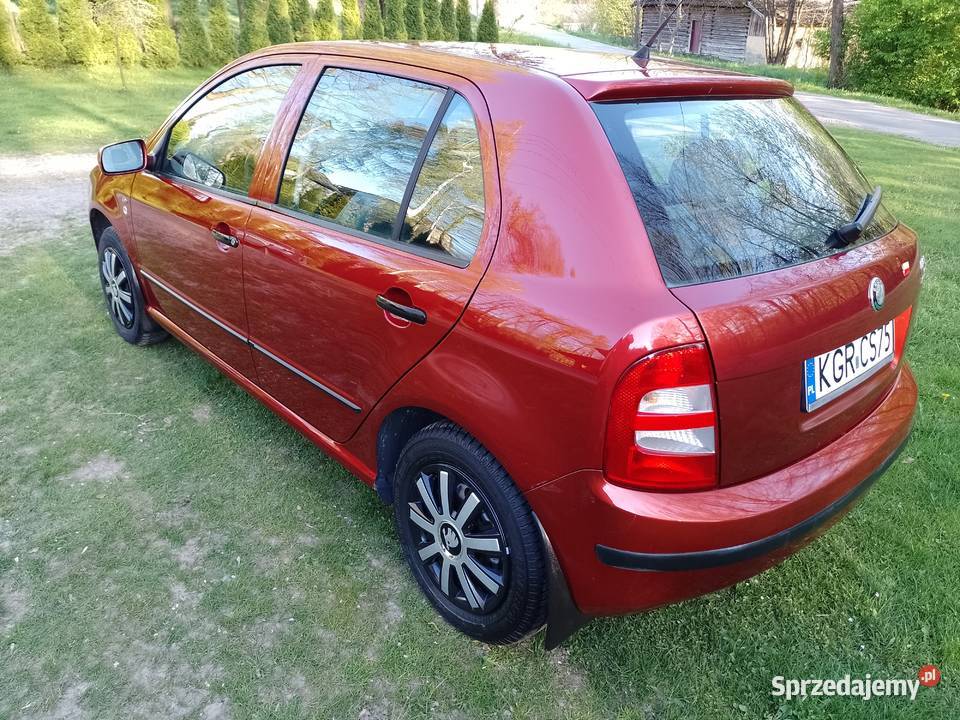 Skoda Fabia 2002r 14 MPI 172000km Jasło sprzedam