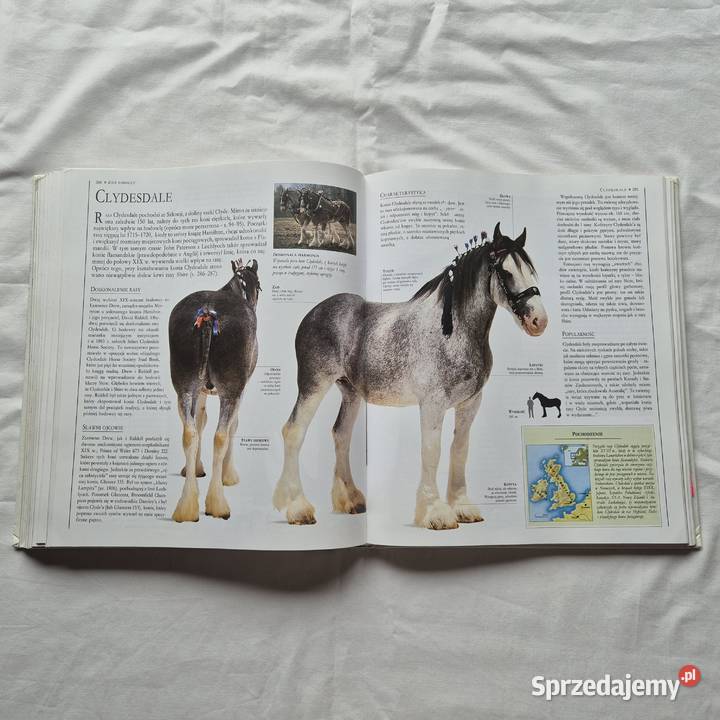 Wielka encyklopedia Konie Brzesko sprzedam