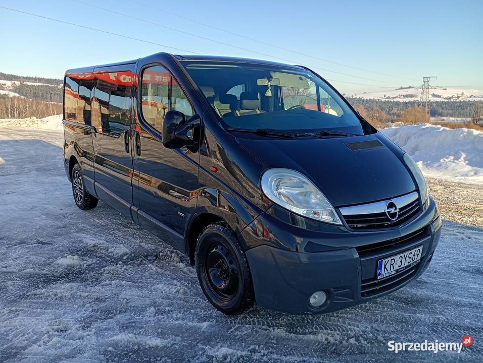 Sprzedam Opel Vivaro 20 CDTI 116 wersja Long 3