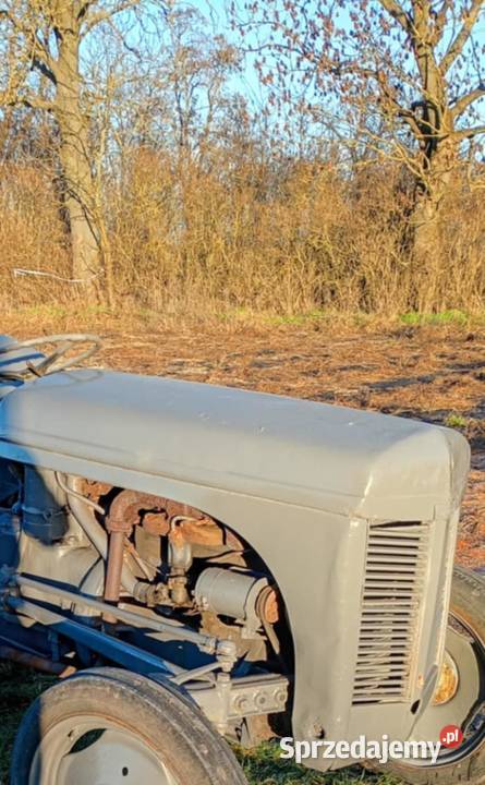 Sprzedam oryginalną maskę Ferguson TEATEDTEF 20