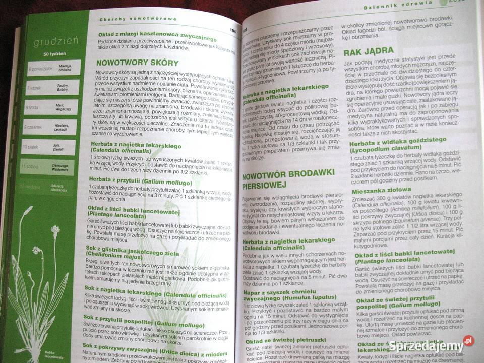Dziennik zdrowia 2010 Andrzej Żak książka polska Siedlce