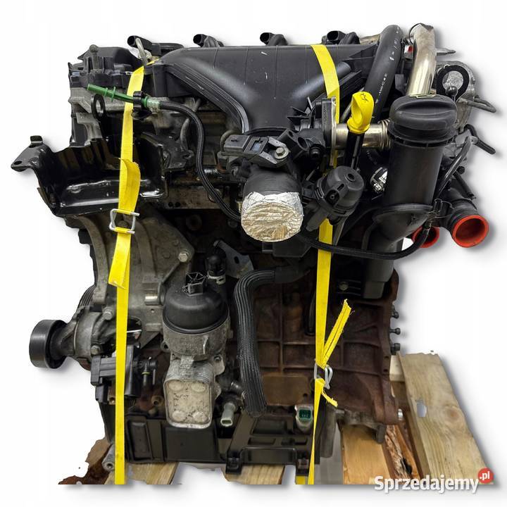 SILNIK RHK Peugeot Expert Citroen Jumpy Fiat Chełm
