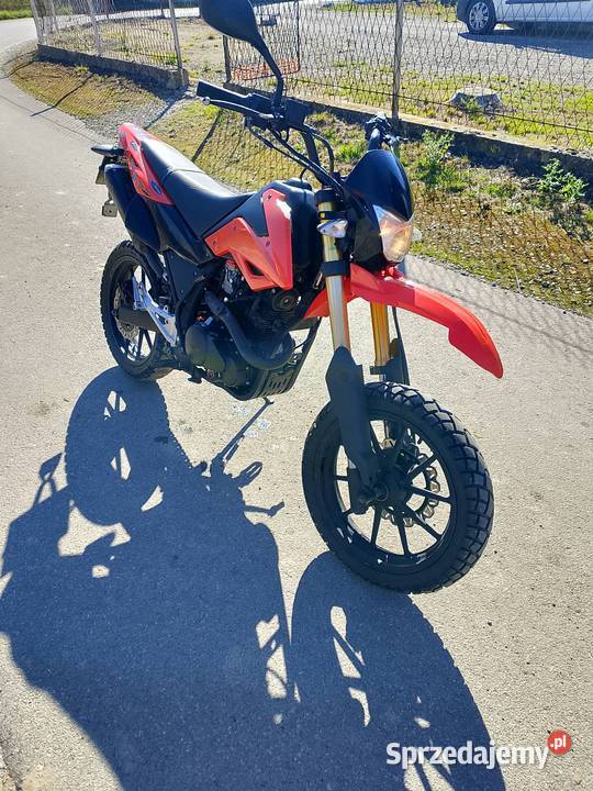 Zipp tracker 250 świętokrzyskie Sandomierz