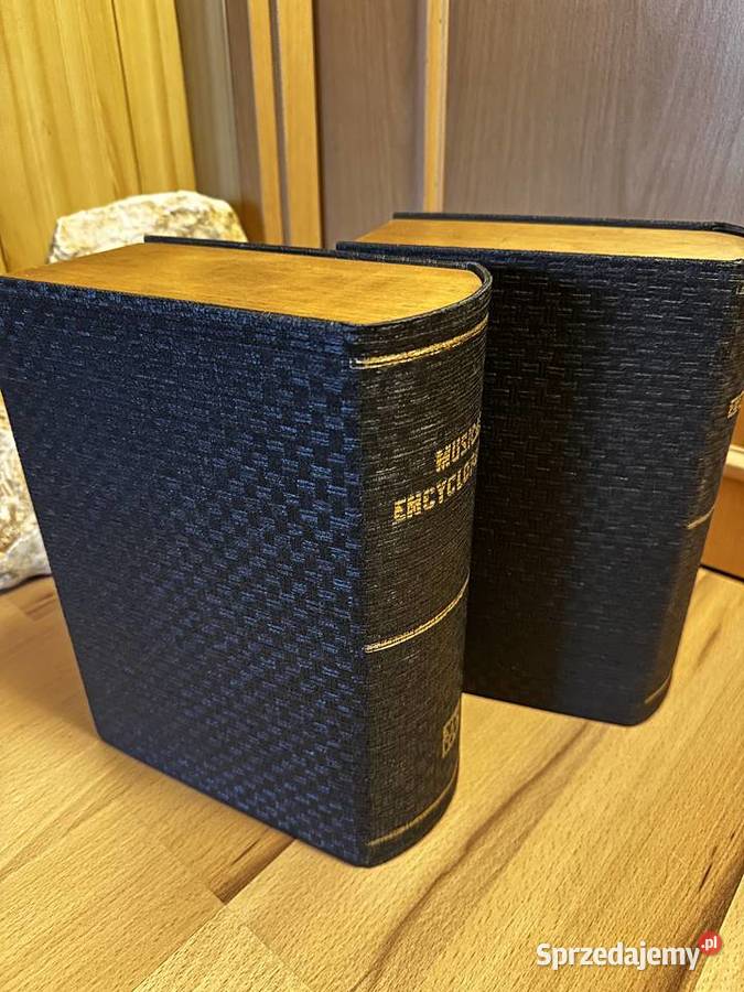 Unikalne Głośniki Videoton Vintage Trąbki Wielkie