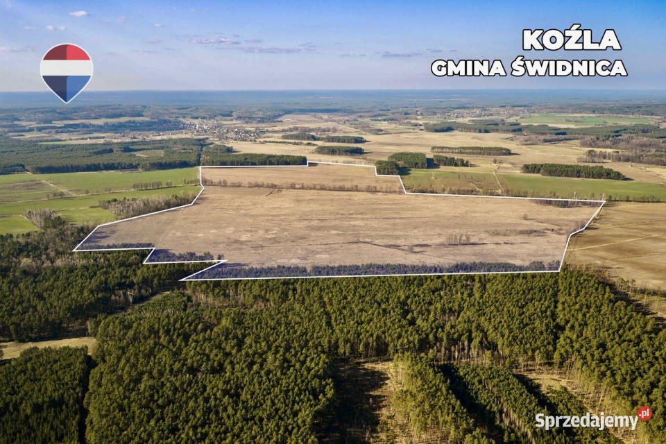 Działka rolna na sprzedaż aż 925 ha 924643m2 Koźla