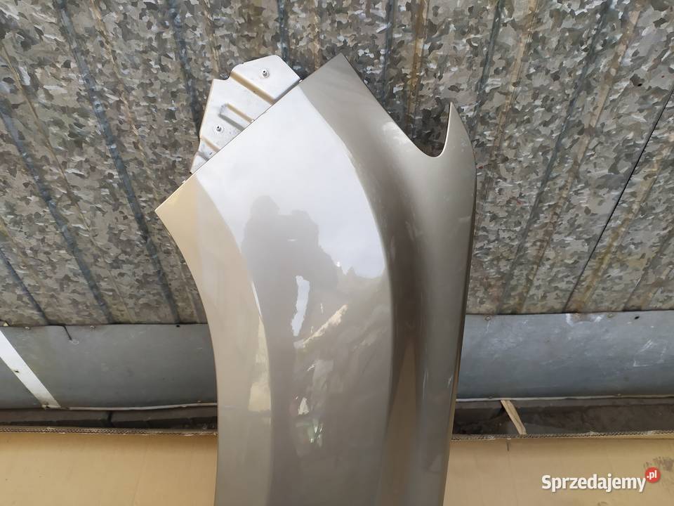 Duster II błotnik lewy przód sprzedam