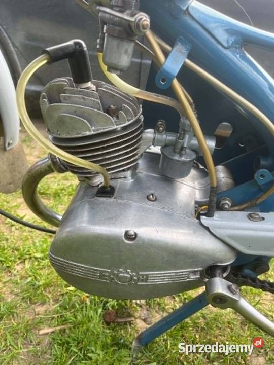 Komar Sztywniak 231 Srokowo sprzedam
