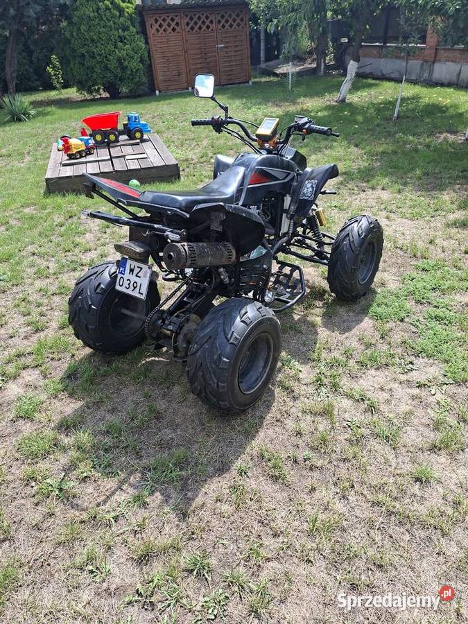 Bashan 200 Wierzbin sprzedam