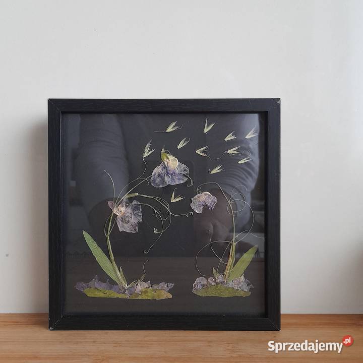 Obraz Kwiatowy Kompozycja Groszki Dekoracja Domu pomorskie Rotmanka