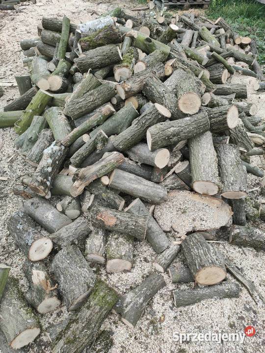 Drewno opałowe kneblówka Oborniki