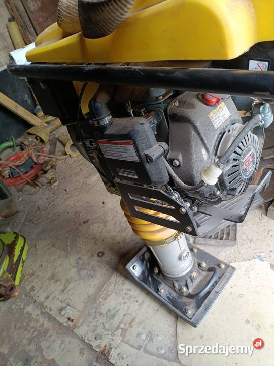 Wacker UBIJAK SKOCZEK ZAGĘSZCZARKA STOPA LUMAG pomorskie Stężyca