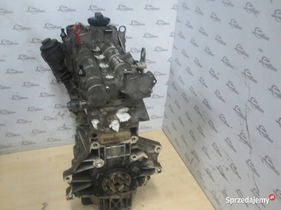 GOLF PLUS 08r 16 BLF 114 172 silnik świętokrzyskie sprzedam