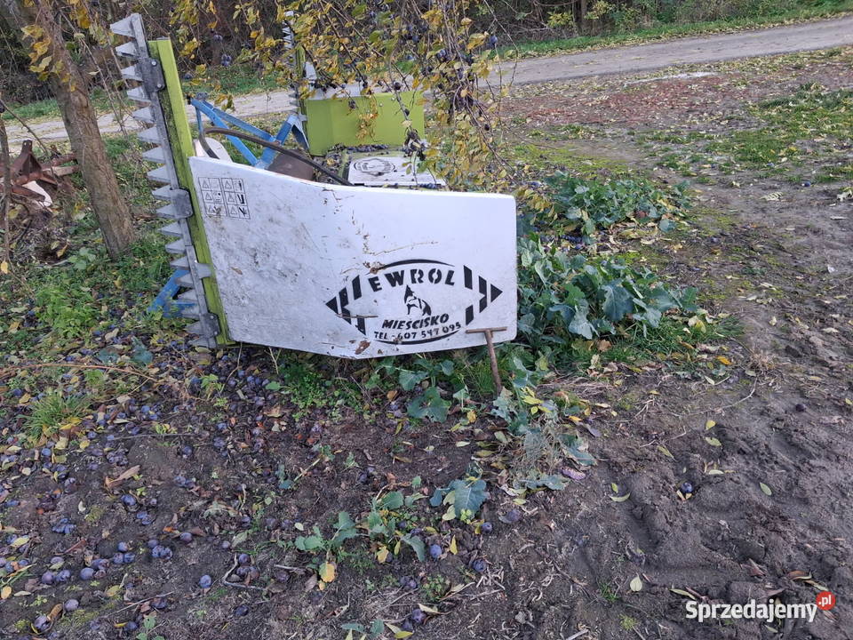 Kombajn zbożowy Claas Dominator 86 Michałów