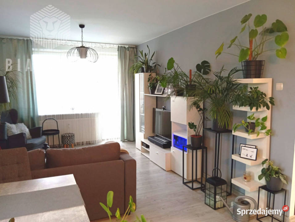 Sprzedaż mieszkania Warszawa 49m2