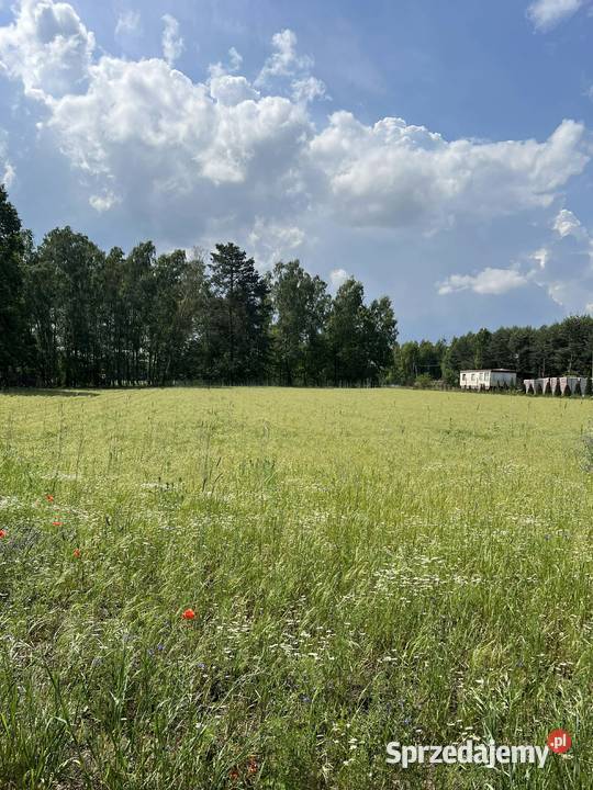 Urokliwa działka 3000 m z bezterminowymi WZ Brudnów Drugi