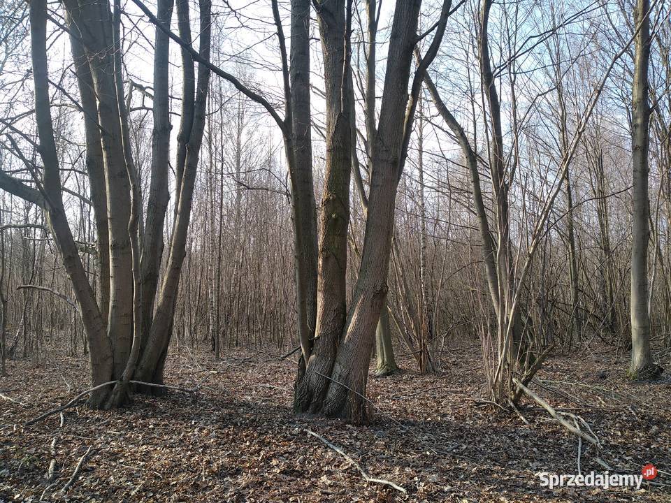 Działka jeziorem Uściwierz Lublin